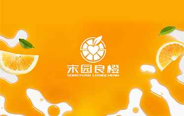 某良橙——承德LOGO设计